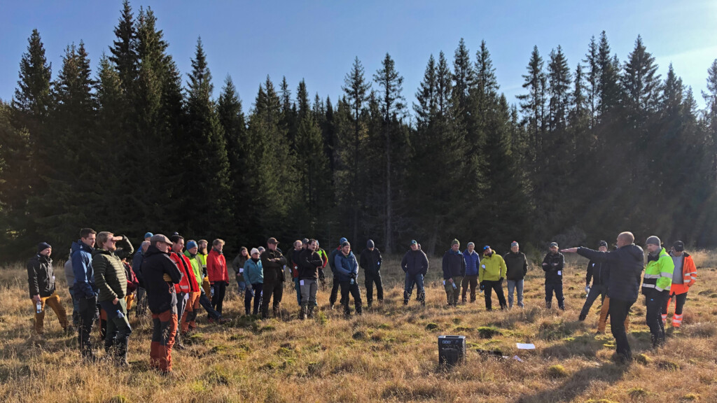 Fagsamling vei 2020 - bruk av geosynteser på bæresvak grunn