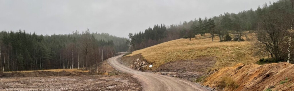 Fagsamling vei 2021 - terrengprofil