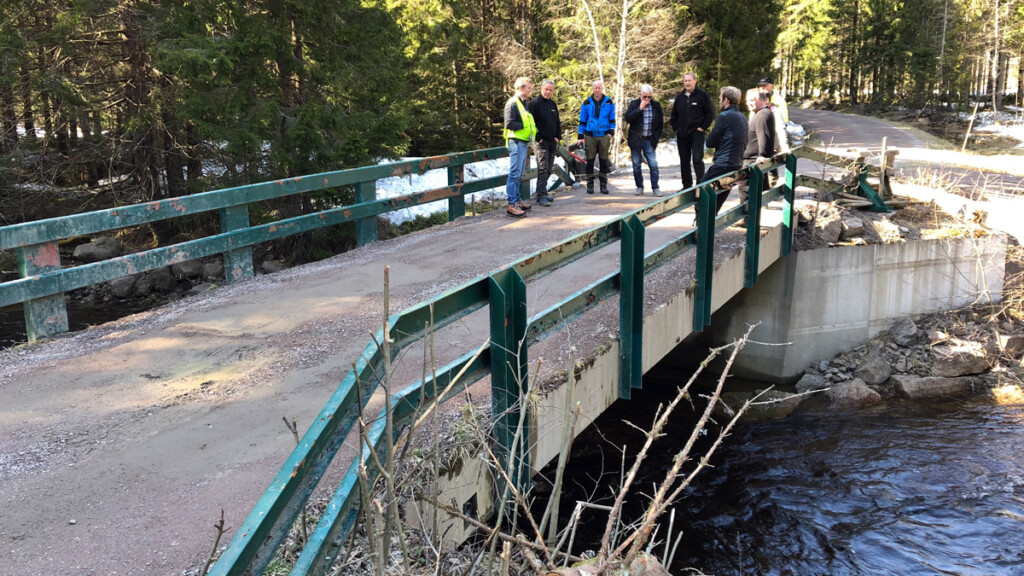 Inspeksjon av bruer på landbruksveier