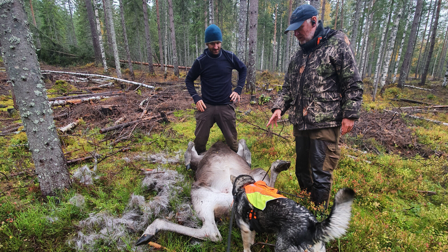 Har du planer om å&nbsp;ta kurs i&nbsp;felt­kon­troll før jakta? Nå har du muligheten!