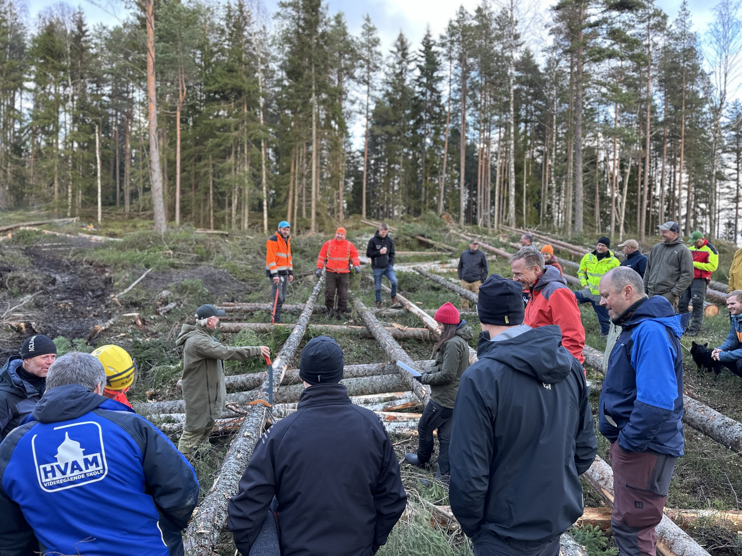 Skogkurs samler skog­bruks­læ­rere til faglig felles­skap på Lillehammer