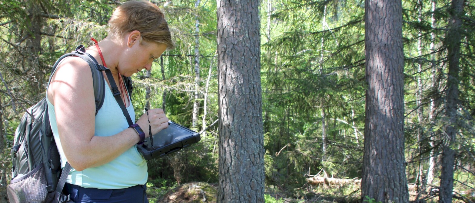 MiS-kart­leg­ging med&nbsp;NiN