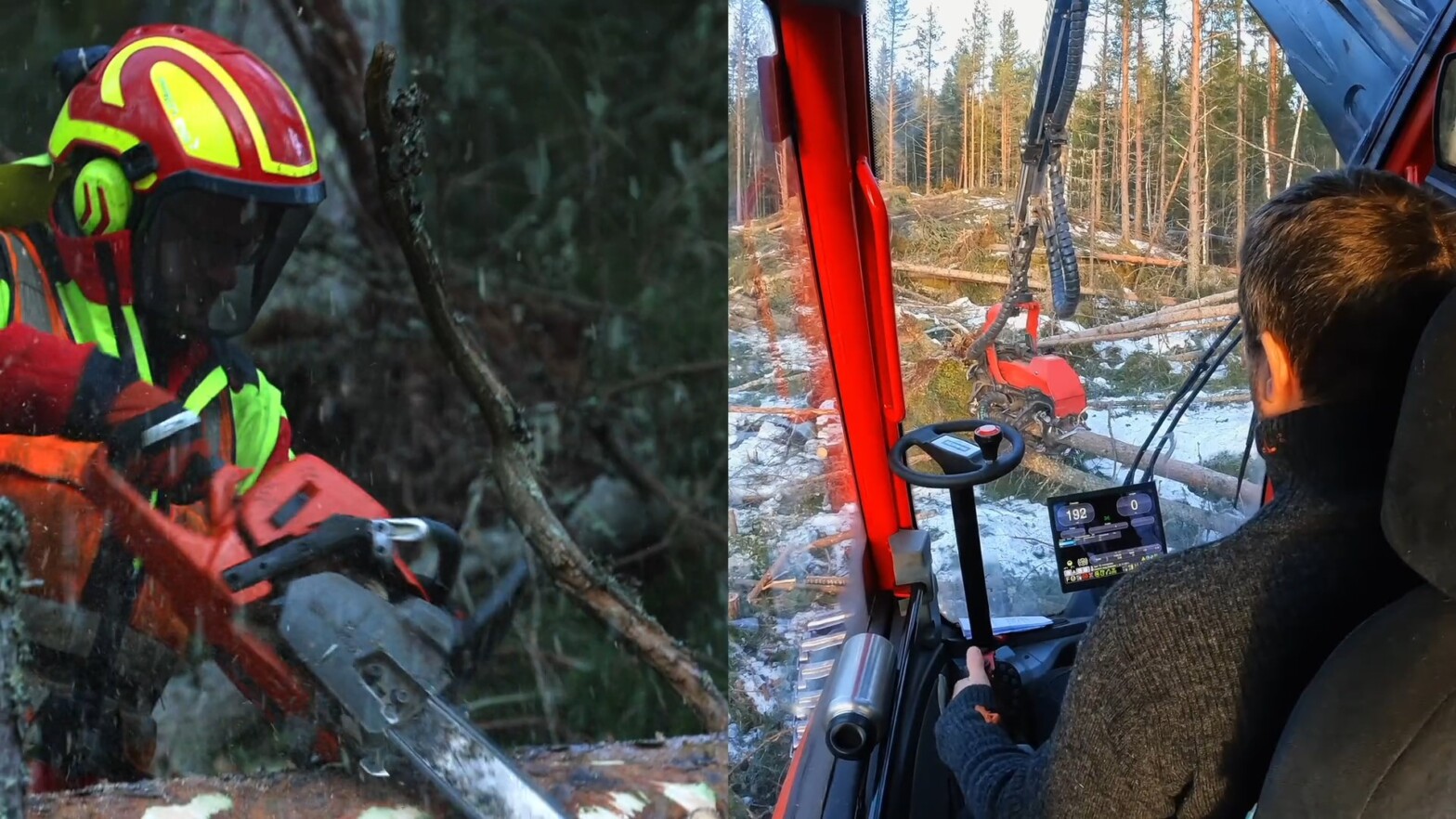 Aktuelle skog­fag­lige webinarer&nbsp;