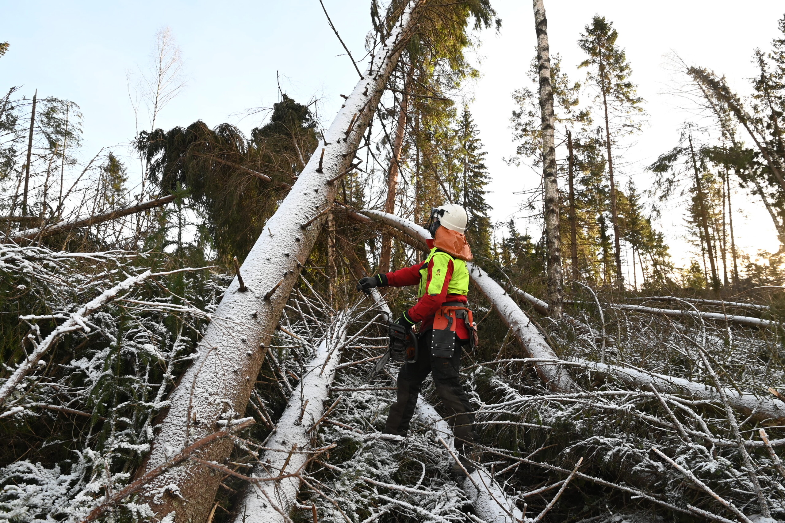 La motor­saga&nbsp;stå!