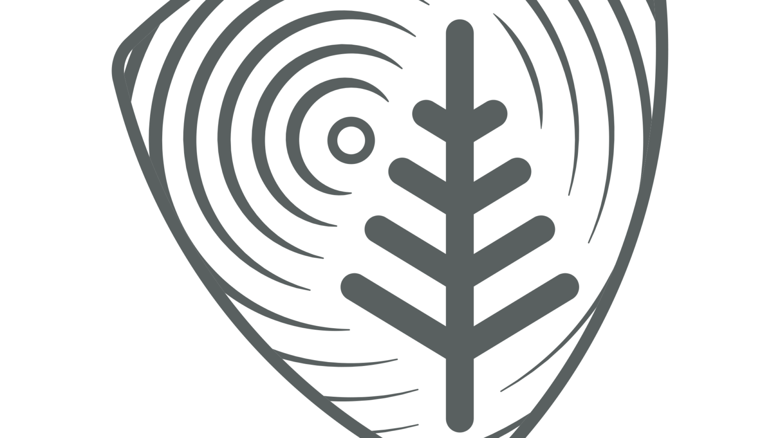 Skogkurs med kvinne-fler­tall i&nbsp;styret