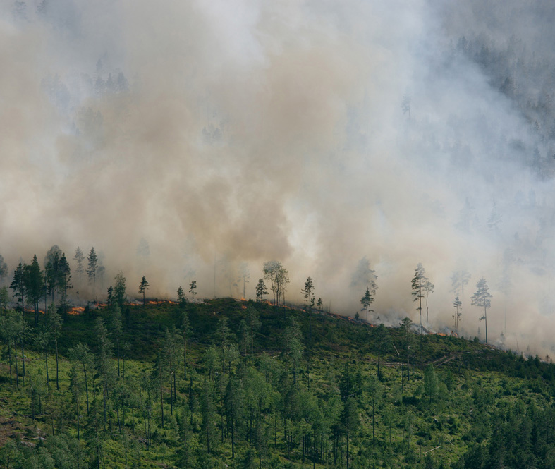 Hva gjør du for å&nbsp;fore­bygge skogbrann?