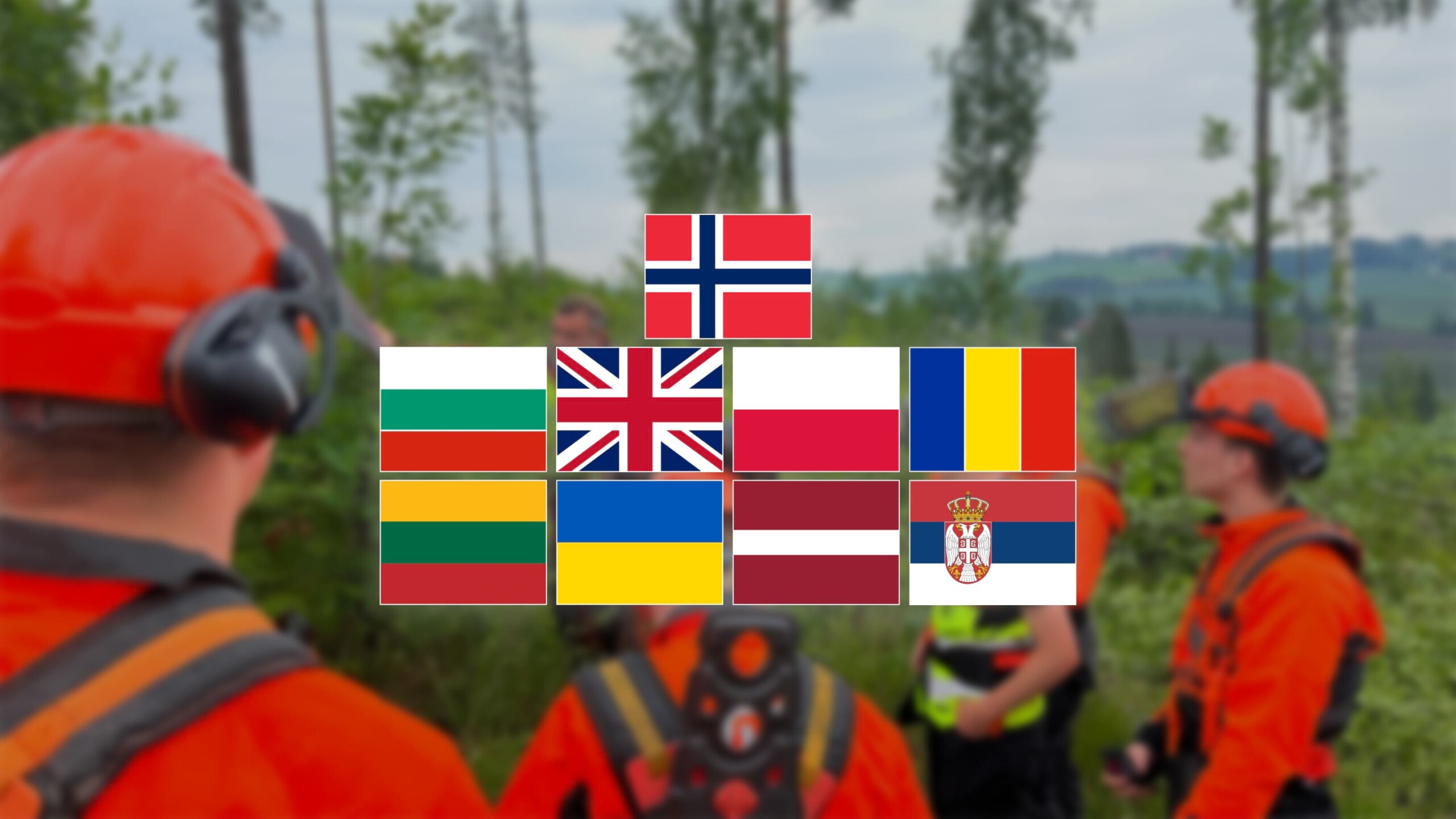 Nettkurs på 9&nbsp;språk