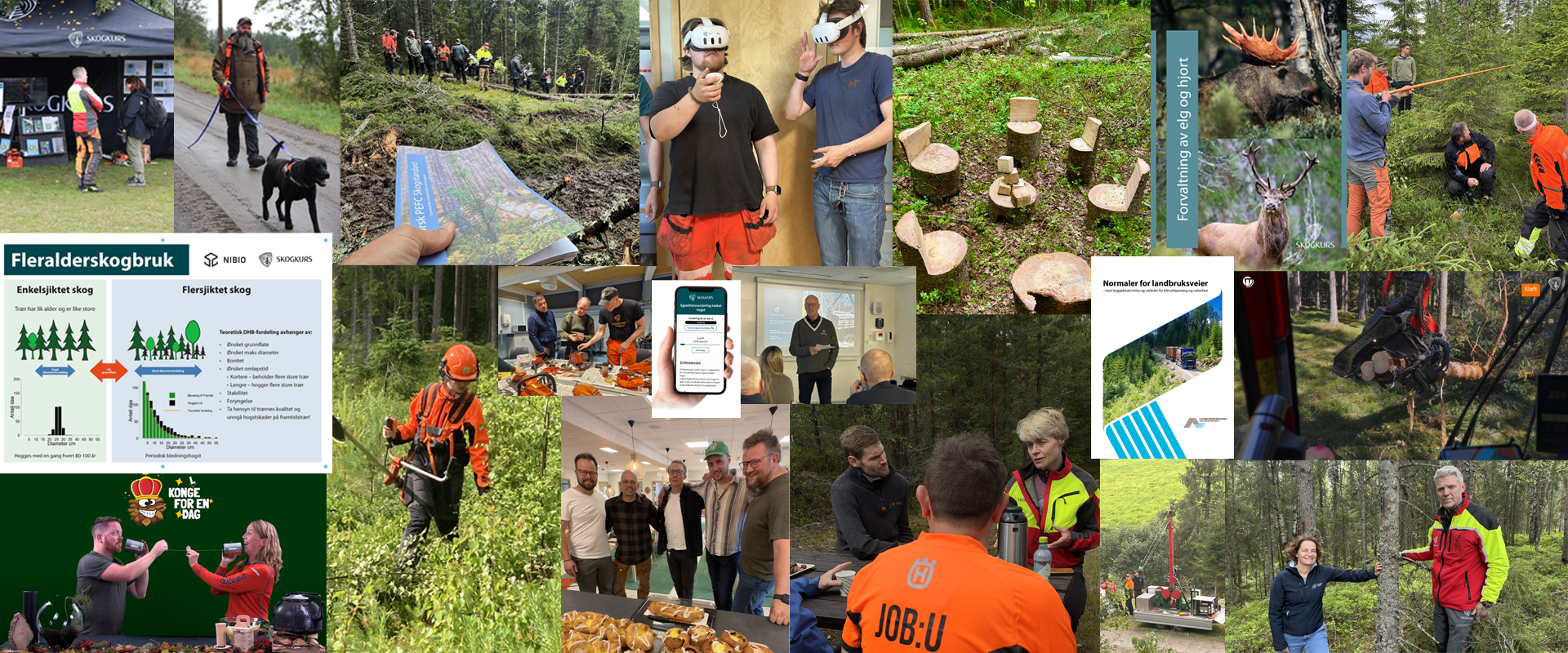 Se hva som skjer i&nbsp;Skogkurs!