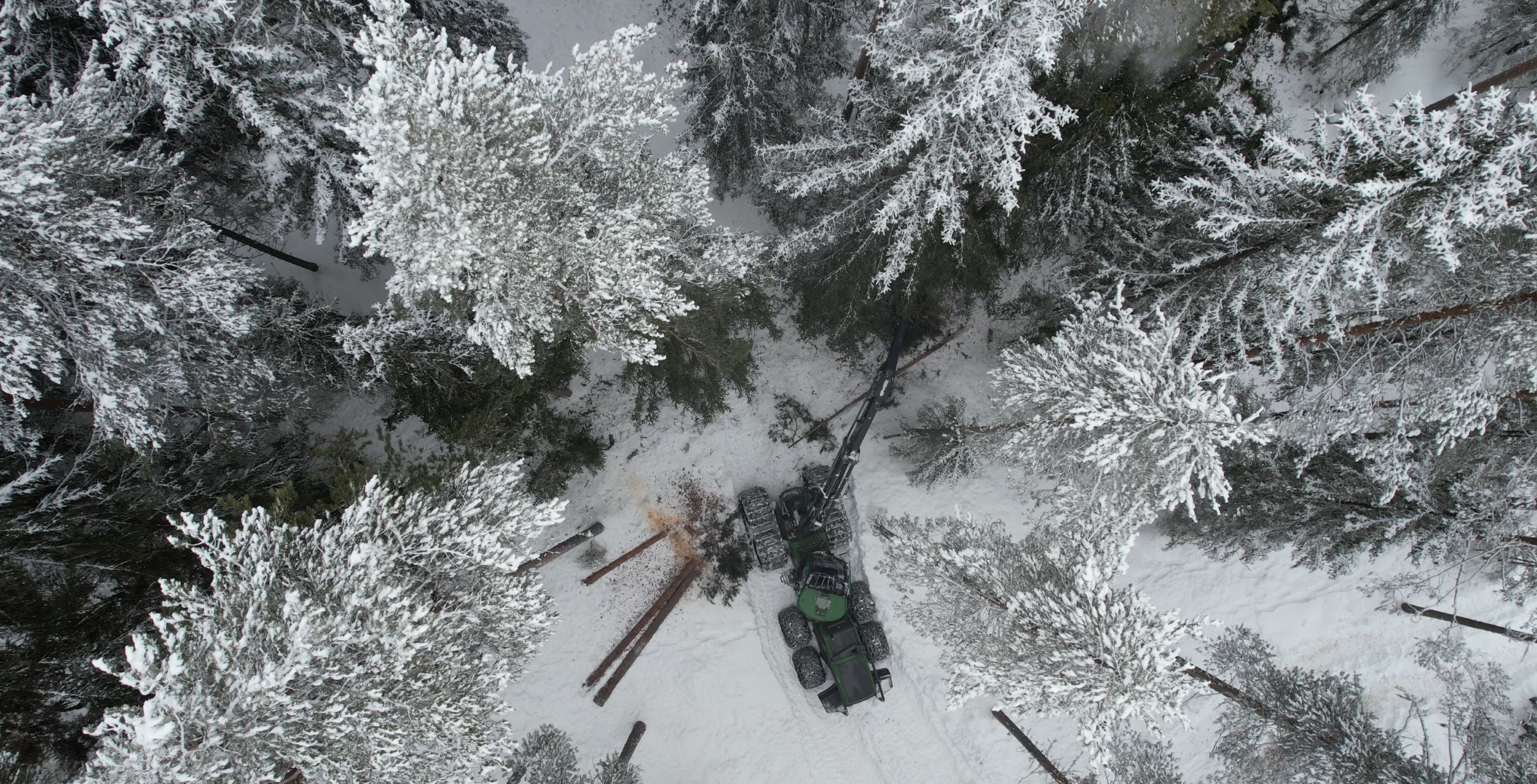 Kompetansebygging på lukkede hogster, erfa­ringer og veien videre